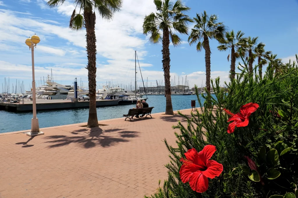 Donde patinar por el Paseo Maritimo de Alicante